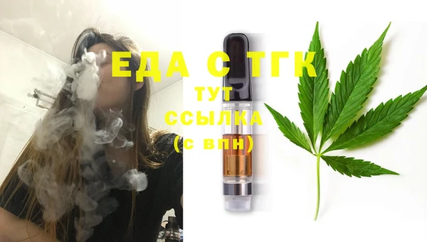 гашик Россошь