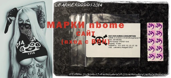 гашик Россошь