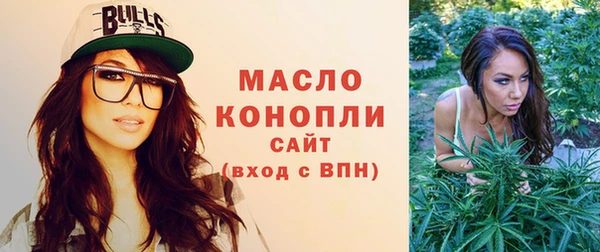 гашик Россошь