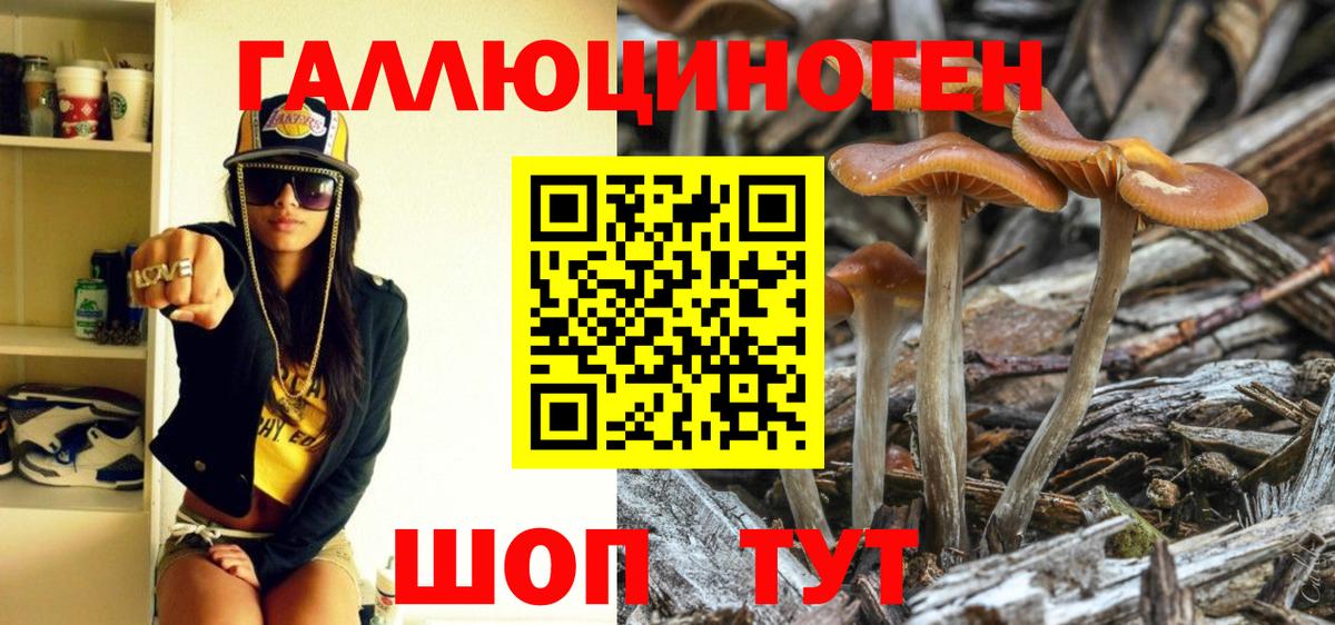 Галлюциногенные грибы Psilocybe  Вход с VPN  Йошкар-Ола 
