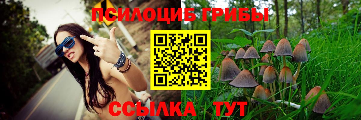 Псилоцибиновые грибы прущие грибы Йошкар-Ола