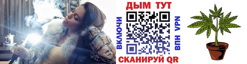 Канабис конопля  Йошкар-Ола 